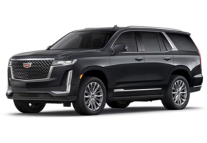 Black Escalade, Apex Executive SUV